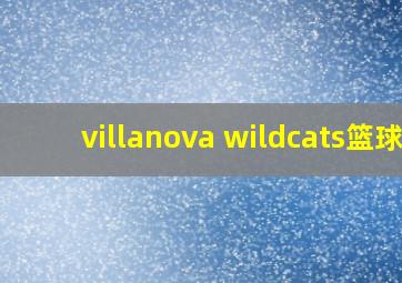 villanova wildcats篮球